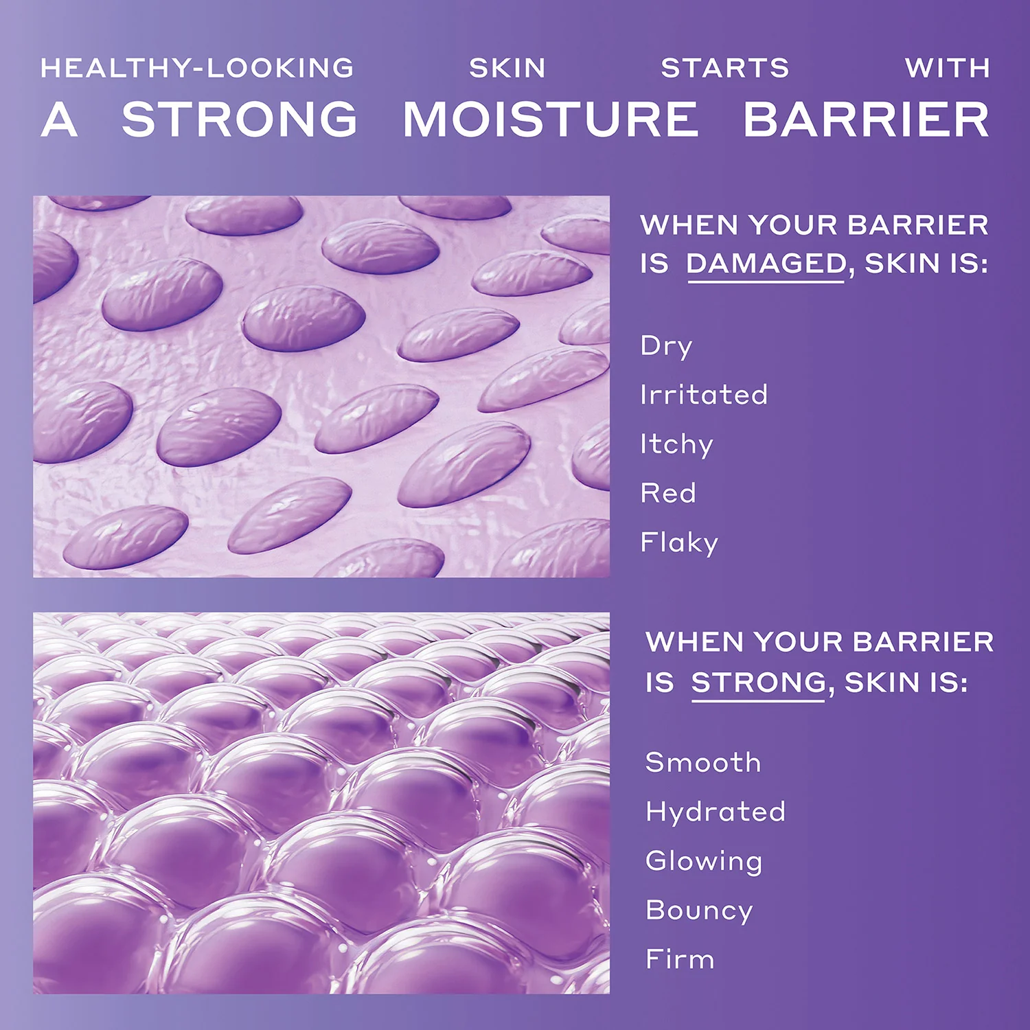 Hydrabarrier Nourishing Face Oil - Image 6